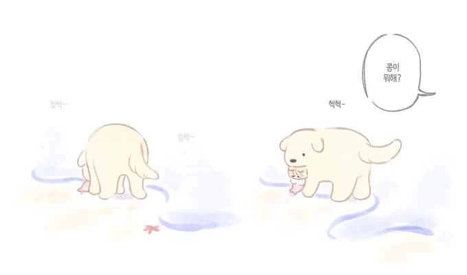 해양보호생물 아기인어문대 줍기 