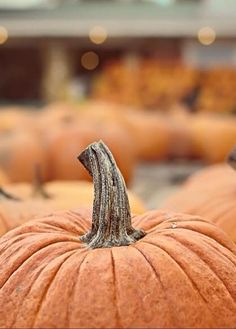 JB 💙 Just Blue 🟦🟧 tweet media