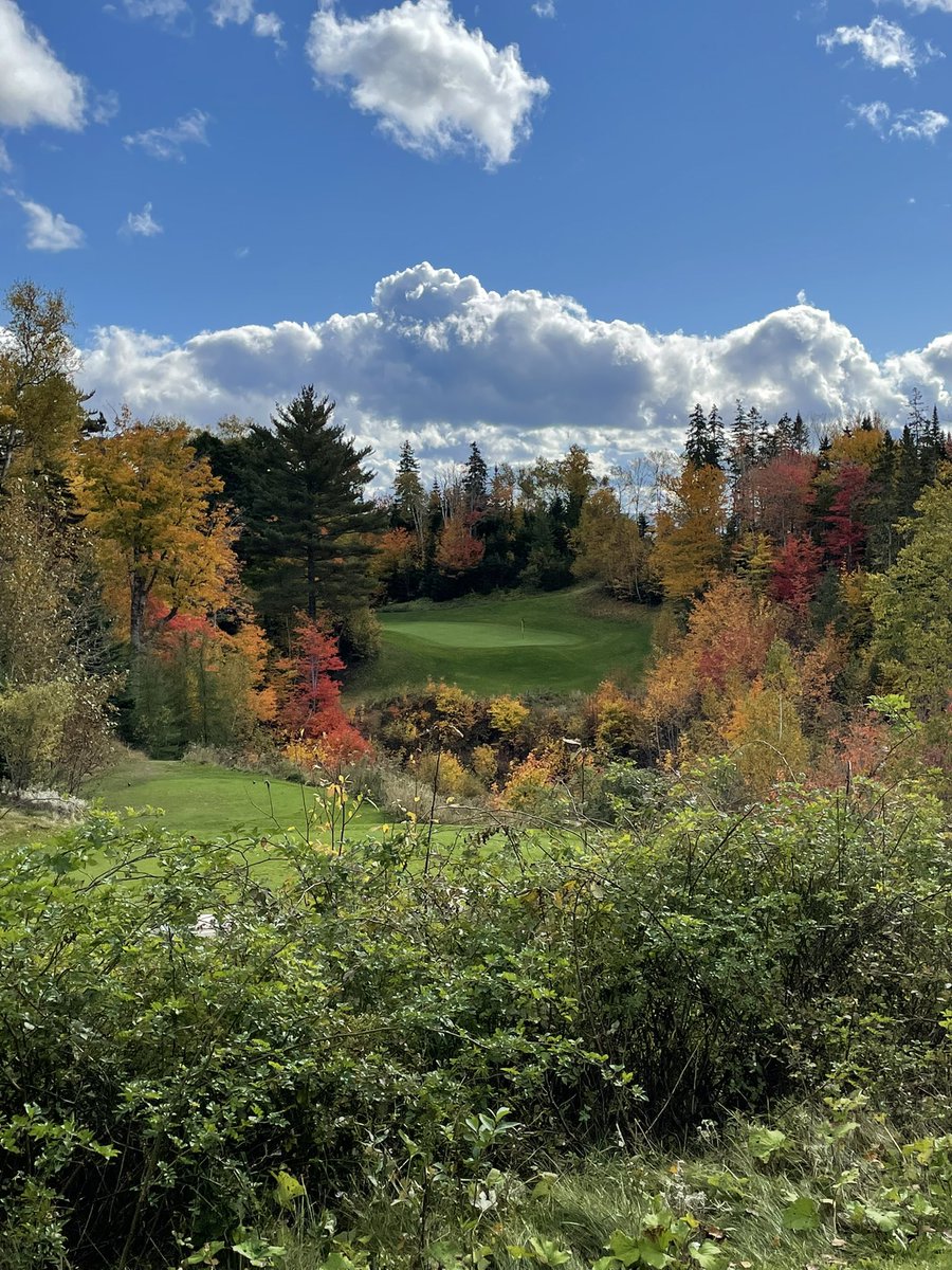 _zNova_'s tweet photo. Autumn Golf is something else! @daltoosh #BellBay #NovaScotia https://t.co/yuJnosBG1K