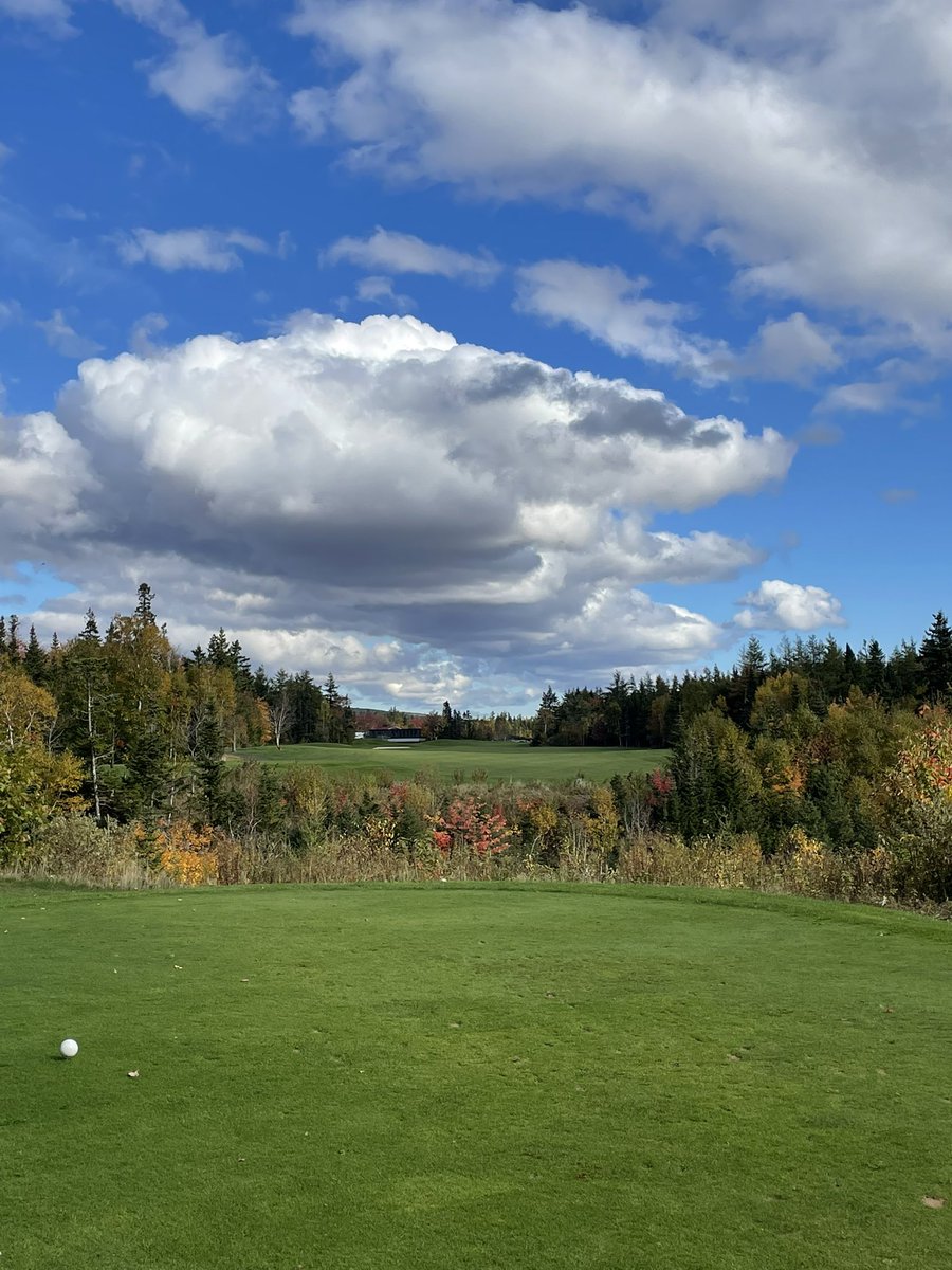 _zNova_'s tweet photo. Autumn Golf is something else! @daltoosh #BellBay #NovaScotia https://t.co/yuJnosBG1K