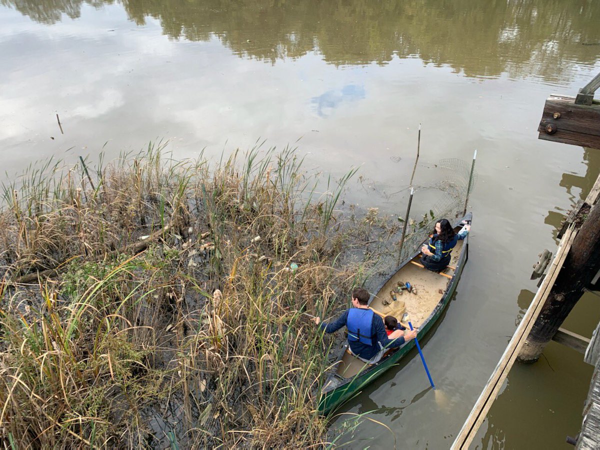 Department of Energy & Environment tweet media