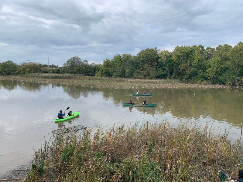 Become a “citizen scientist” by participating with our Anacostia Green Boat program today at Kingman Island Family Day! Here’s a look at some already enjoying the river and helping to keep the Anacostia clean 🛶 #kingmanislanddc