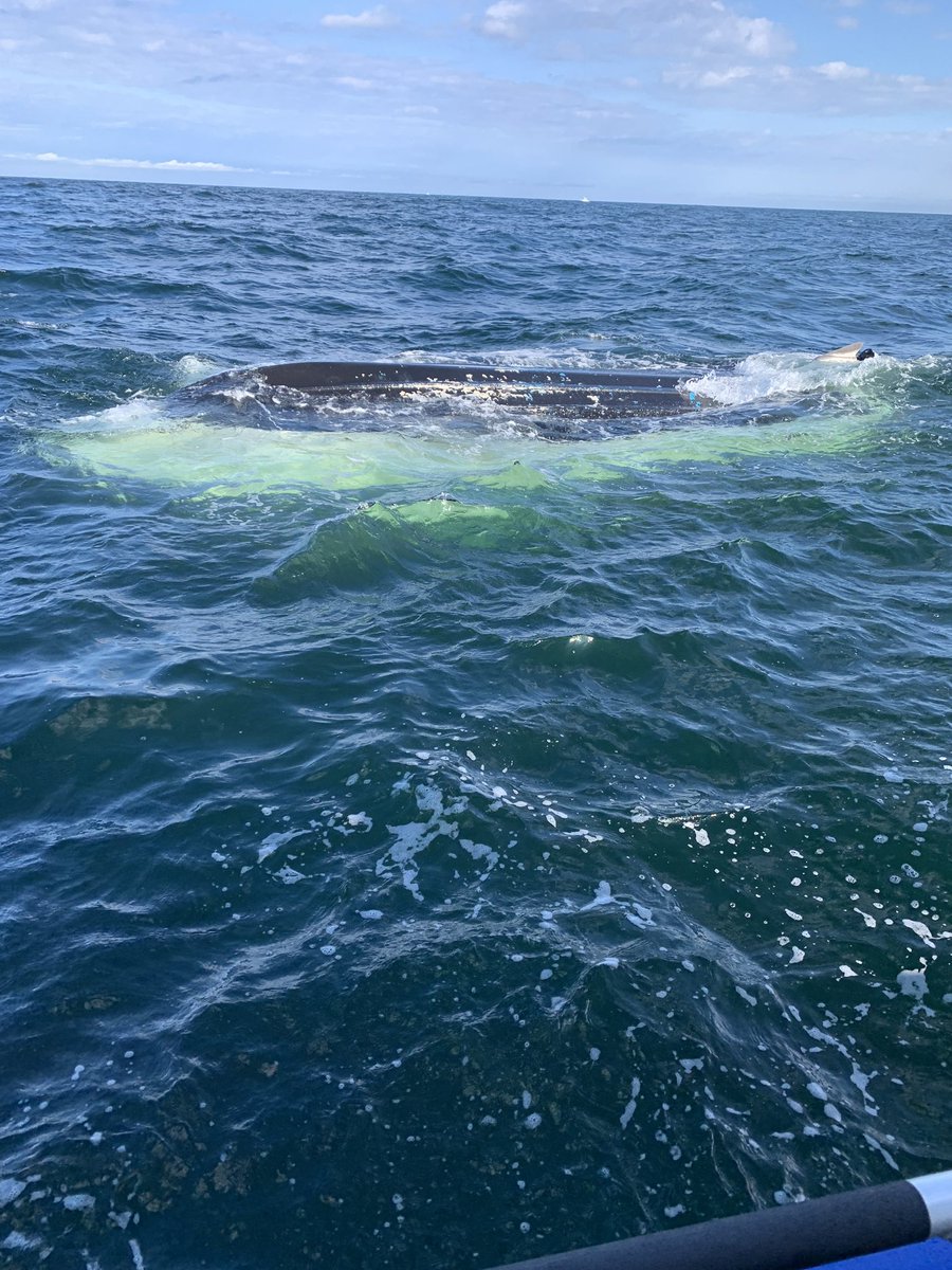HMCHATHAM's tweet photo. This morning, the Chatham Harbormaster responded to a rpt of a boat taking on water 11 miles E of Chatham with 4 persons onboard.  Good Samaritan’s assisted and all persons we’re xfered to the H-27 response boat. All persons were safe and accounted for https://t.co/TL4gha0H6X