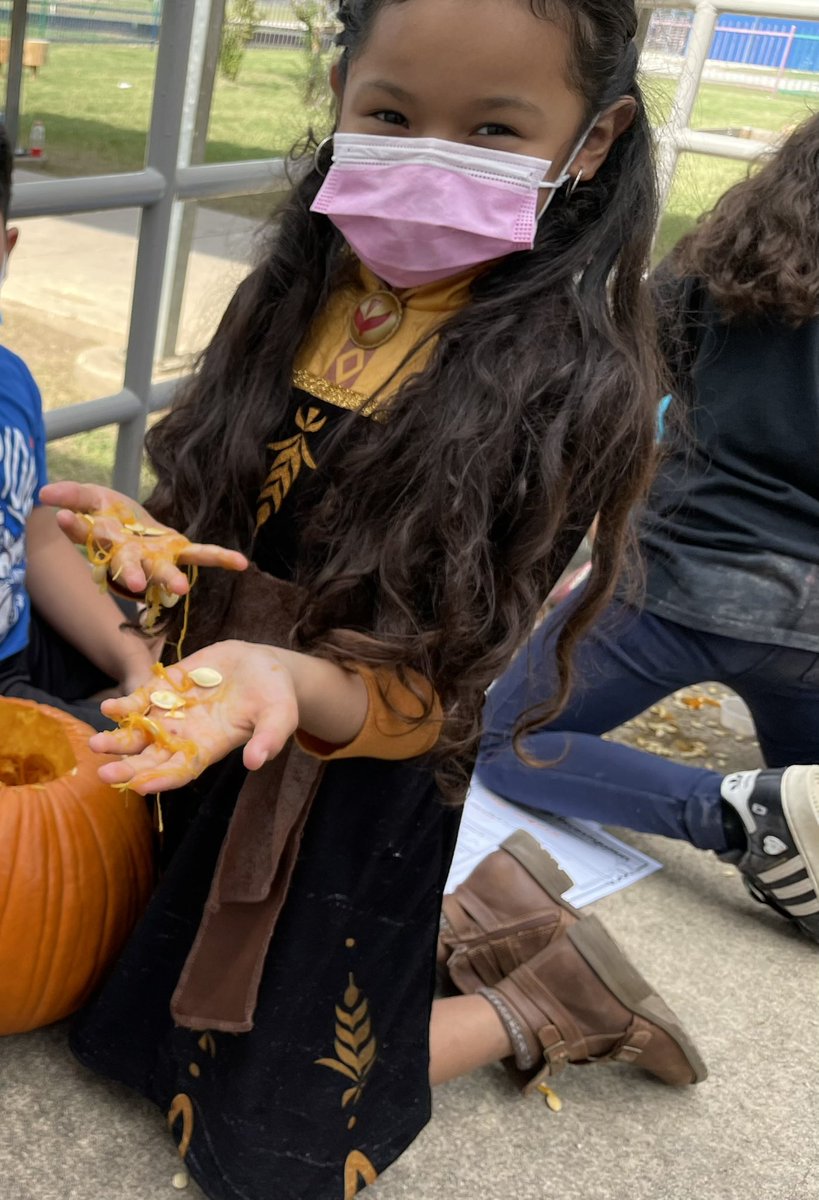 Amanda Saucillo tweet media