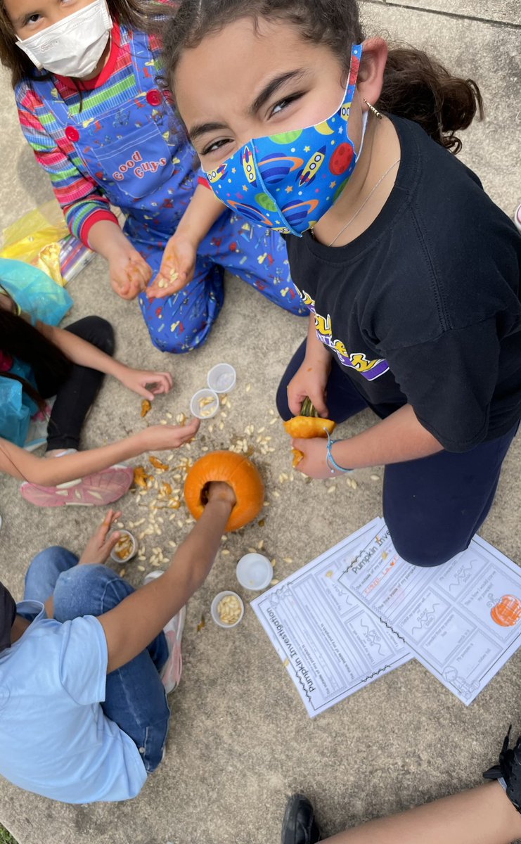 Amanda Saucillo tweet media