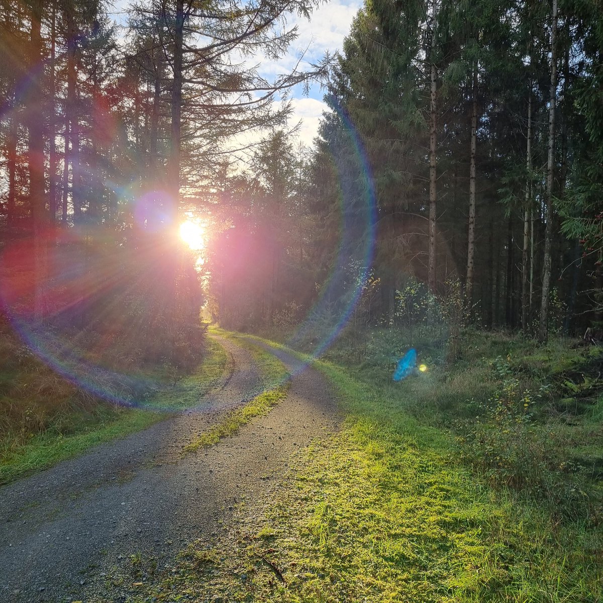 Kim_Bottu's tweet image. My backyard... #lifeingermany