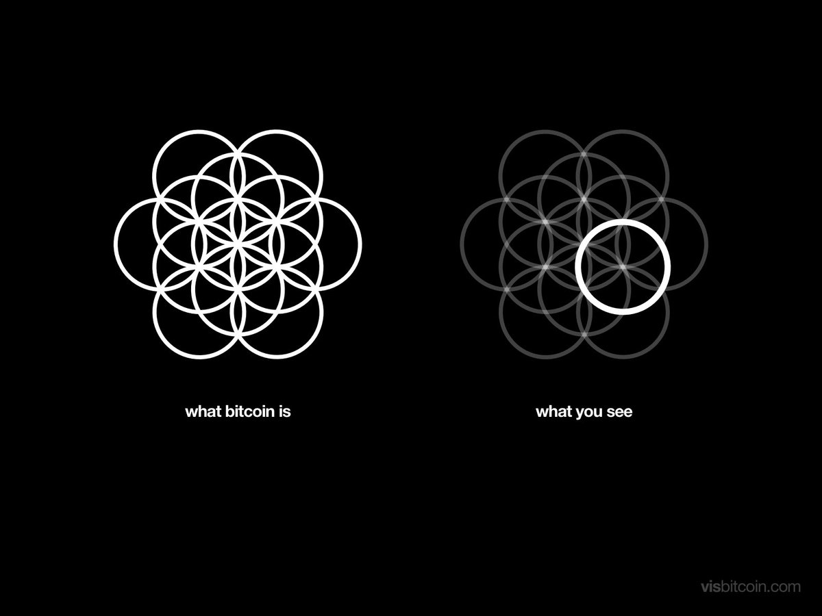 Visualize Bitcoin tweet media