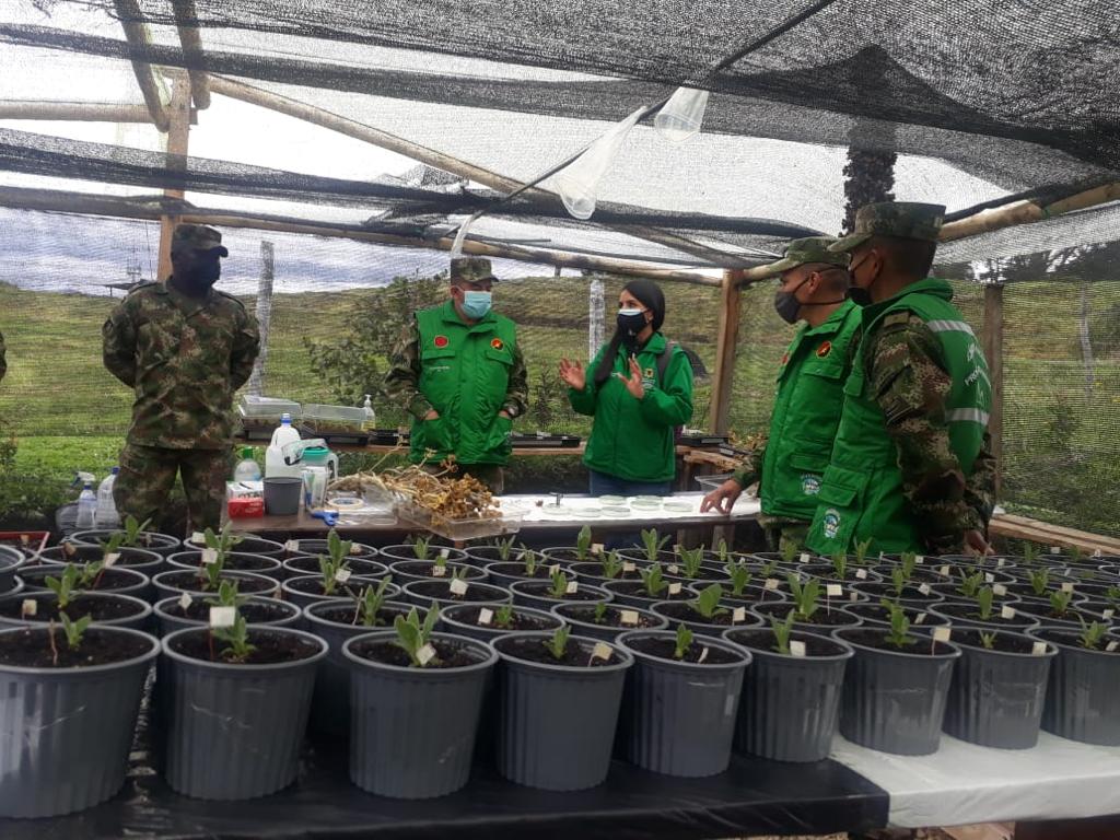 Ejercito_Div5's tweet photo. En el marco de la proyección de la #BurbujaAmbientalBr13 cómo estrategia para la conservación del medio ambiente;tropas del #Biter13 y la #Brigada13,participaron en la capacitación que brindó @JBotanicoBogota en temas de propagación tradicional de material vegetal de alta montaña https://t.co/WB7ZBtHrDT