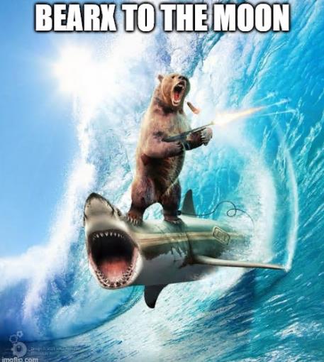 ZHENGSONG14's tweet photo. bearx to the moon#BEARXMEME https://t.co/k76g6FByKu