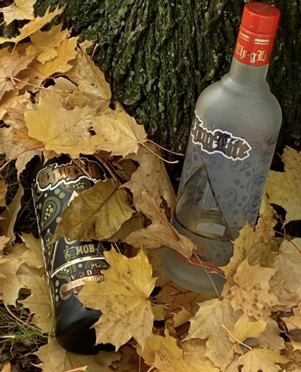 THUGLIFEVODKA's tweet photo. https://t.co/GmoGL2XhBI