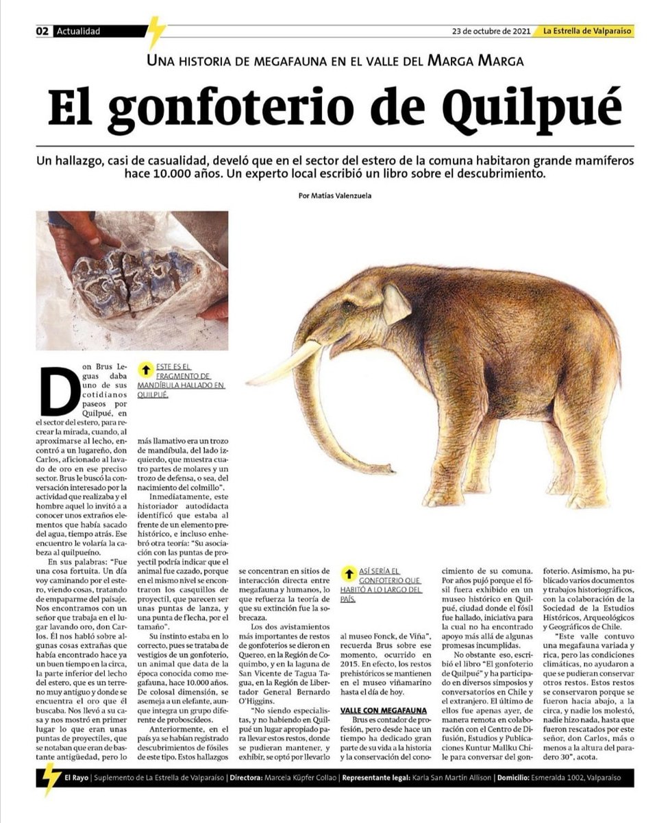 ricardoloyloy's tweet photo. Algunas verdades sobre el #gonfoterio de #Quilpué @quilpueciudad @culturaquilpue @ValeMelipillan https://t.co/yRCVhI8DYp