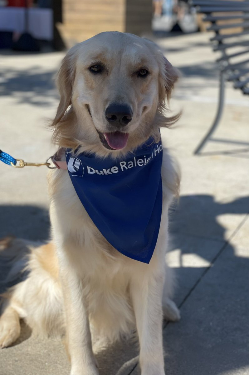 Happy Beautiful Fall Saturday! <a href="/MidtownFarmers/">Midtown Farmers Market</a> <a href="/dukeraleigh/">Duke Raleigh Campus</a> <a href="/DukeRadiology/">Duke Radiology</a>