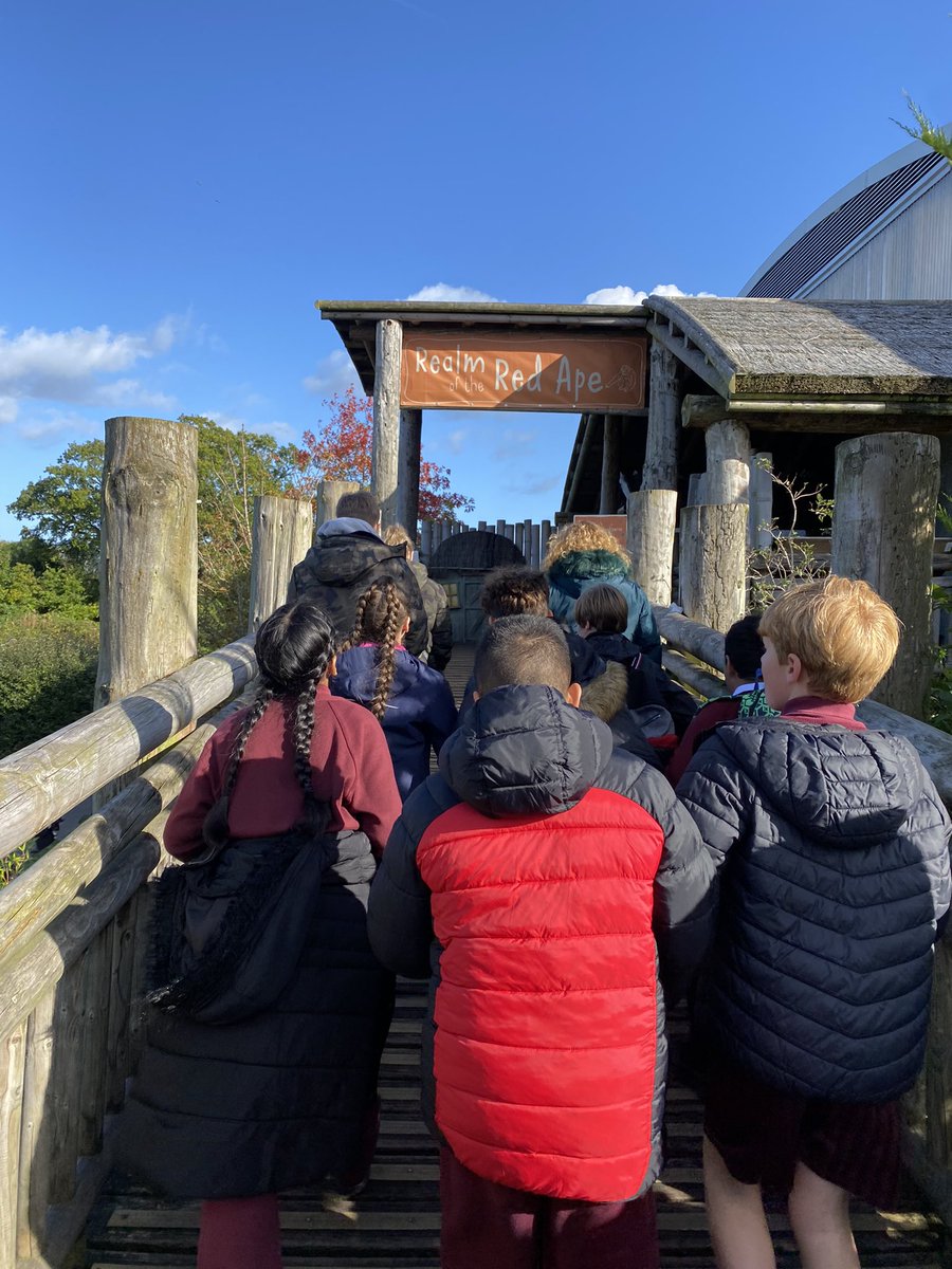 GbWaters's tweet photo. 6W ended our first half term together by visiting the wonderful @chesterzoo. It felt incredible to finally be out on a class trip after so long. 🐯 🦁 🦋 🦧 🐧 
@GreenbankSchool https://t.co/gTXGj4npq4