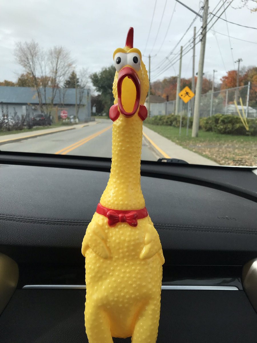 blemelin39's tweet photo. Moi et mon #plasticchicken , on the road again. Je me demande bien où est-ce qu’on s’en va comme ça 🤔 https://t.co/yZPa0KDVtV