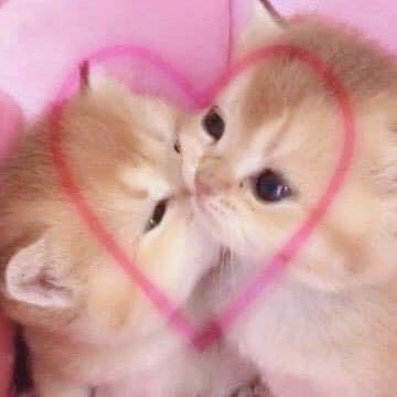 ElJlROBOT's tweet photo. @bak7gv QSHDUFJH QUÉ LINDO, TE AMO MÁS MI AMOR https://t.co/dT9d1R6dsU