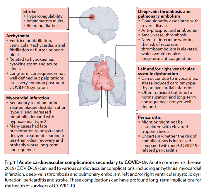 JamalRanaMD's tweet photo. Excellent review in @NatRevCardiol on Cardiac involvement in the long-term implications of #Covid19 
@DLBHATTMD 
Paper: https://t.co/If6XfNdJql

@EricTopol @HeartOTXHeartMD @drercardio @mirvatalasnag https://t.co/HDXBdLFhA5