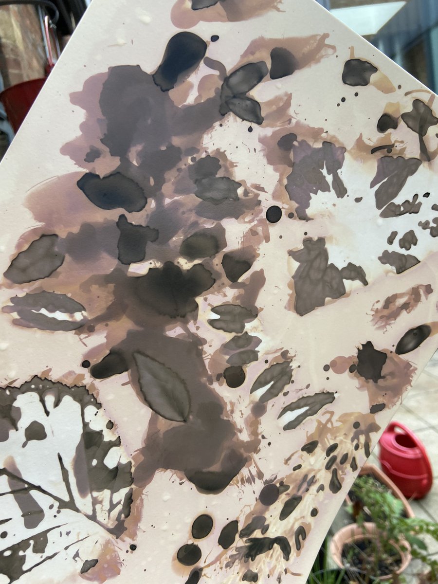 MeganRingrose's tweet photo. Detail of a #phytography made on our workshop today with @DoingKarel
Next week we have @JohnBlythe65
Teaching about the cyanotype process.
Click on the link to find out more..
https://t.co/FTRbngVwkf https://t.co/00Yh7Qx8pY