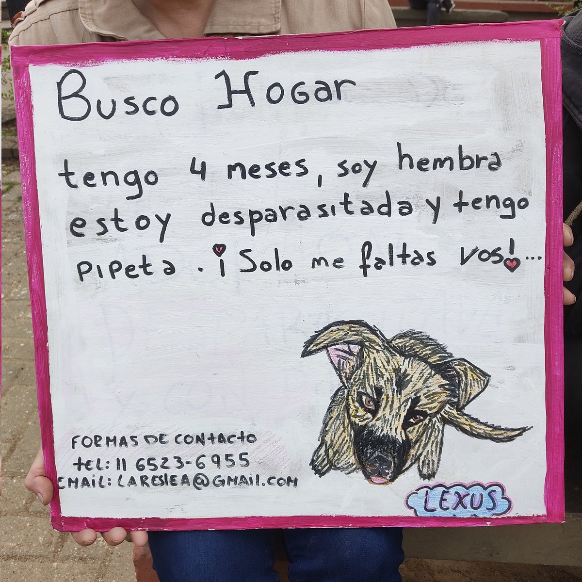 martiortalda's tweet photo. Ves estás cosas y es imposible no querer involucrarte, porfavor compartan! Están en la plaza de los bomberos ahora, pero en la foto está el contacto 🤍 Ayudemos a encontrarle una casita a Lexus 💖 https://t.co/GHP23MvT4b