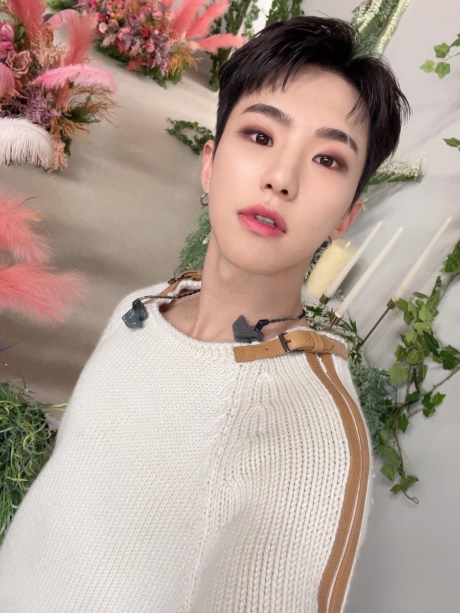 delight_soon's tweet photo. 내가.. 내가 더 호랑해

스크래치로 무대 위에선 날티미 작렬 호시지만 눈코입이 동글동글 귀여워서 이런 셀카들 보면 그냥 귀여운 순영이만 존재하는 거야 아기 코코볼 같은 느낌 ㅠ https://t.co/KKDvhWWdpE