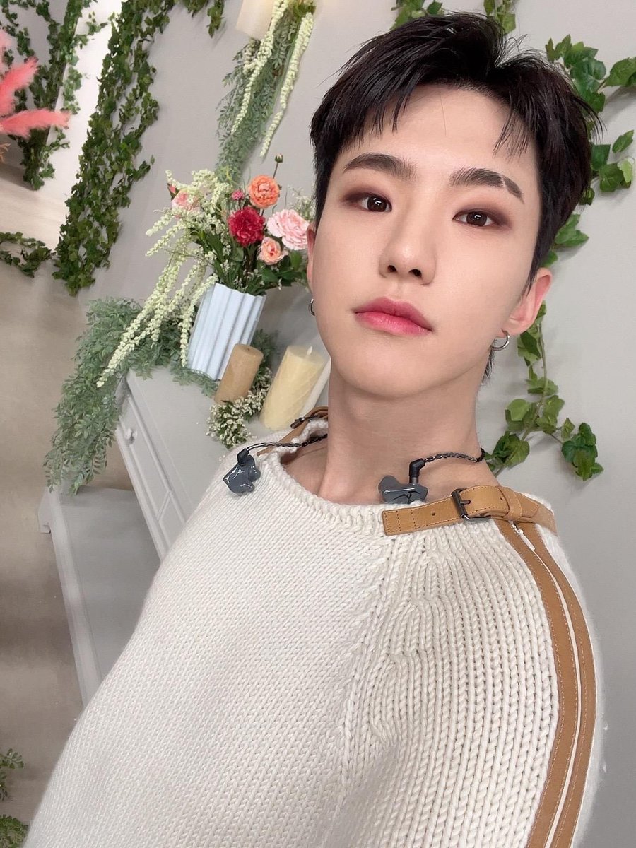 delight_soon's tweet photo. 내가.. 내가 더 호랑해

스크래치로 무대 위에선 날티미 작렬 호시지만 눈코입이 동글동글 귀여워서 이런 셀카들 보면 그냥 귀여운 순영이만 존재하는 거야 아기 코코볼 같은 느낌 ㅠ https://t.co/KKDvhWWdpE