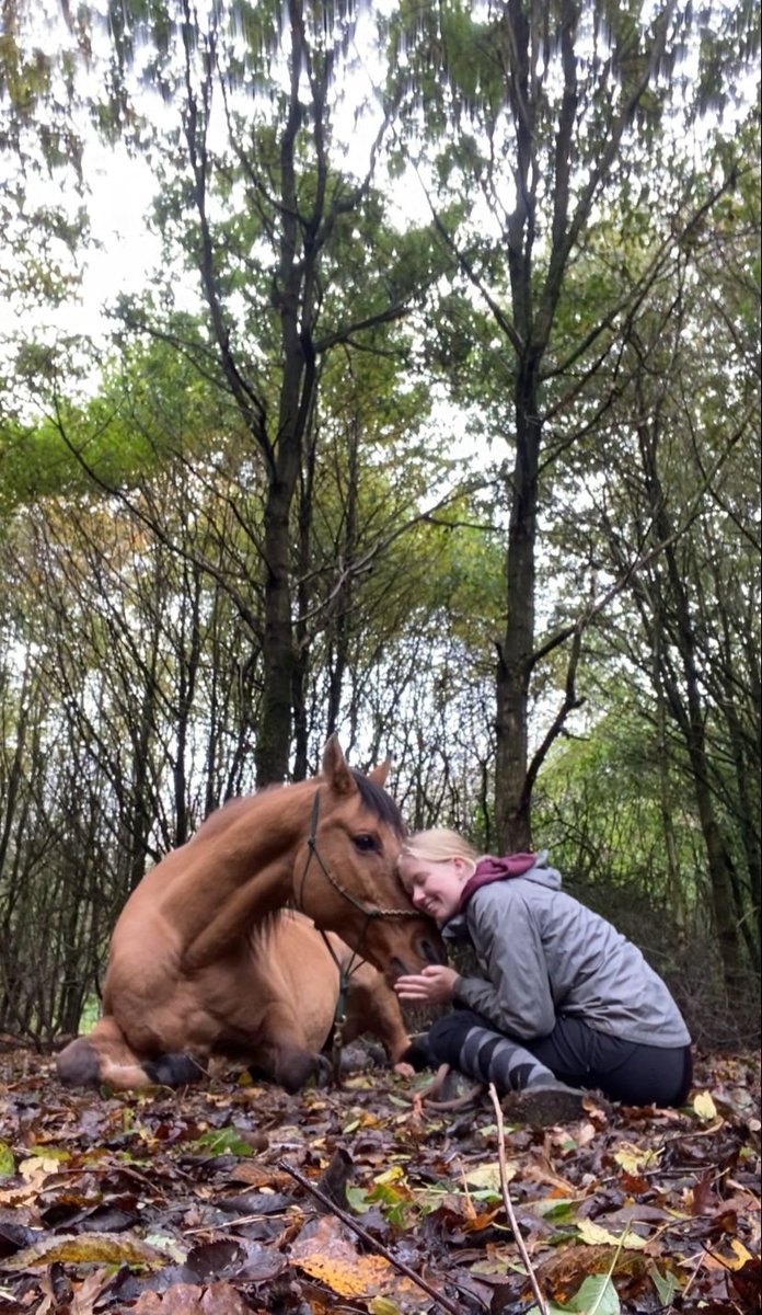 Pure ❤
#love 
#horse #NaturePhotography #naturalhorsemanship