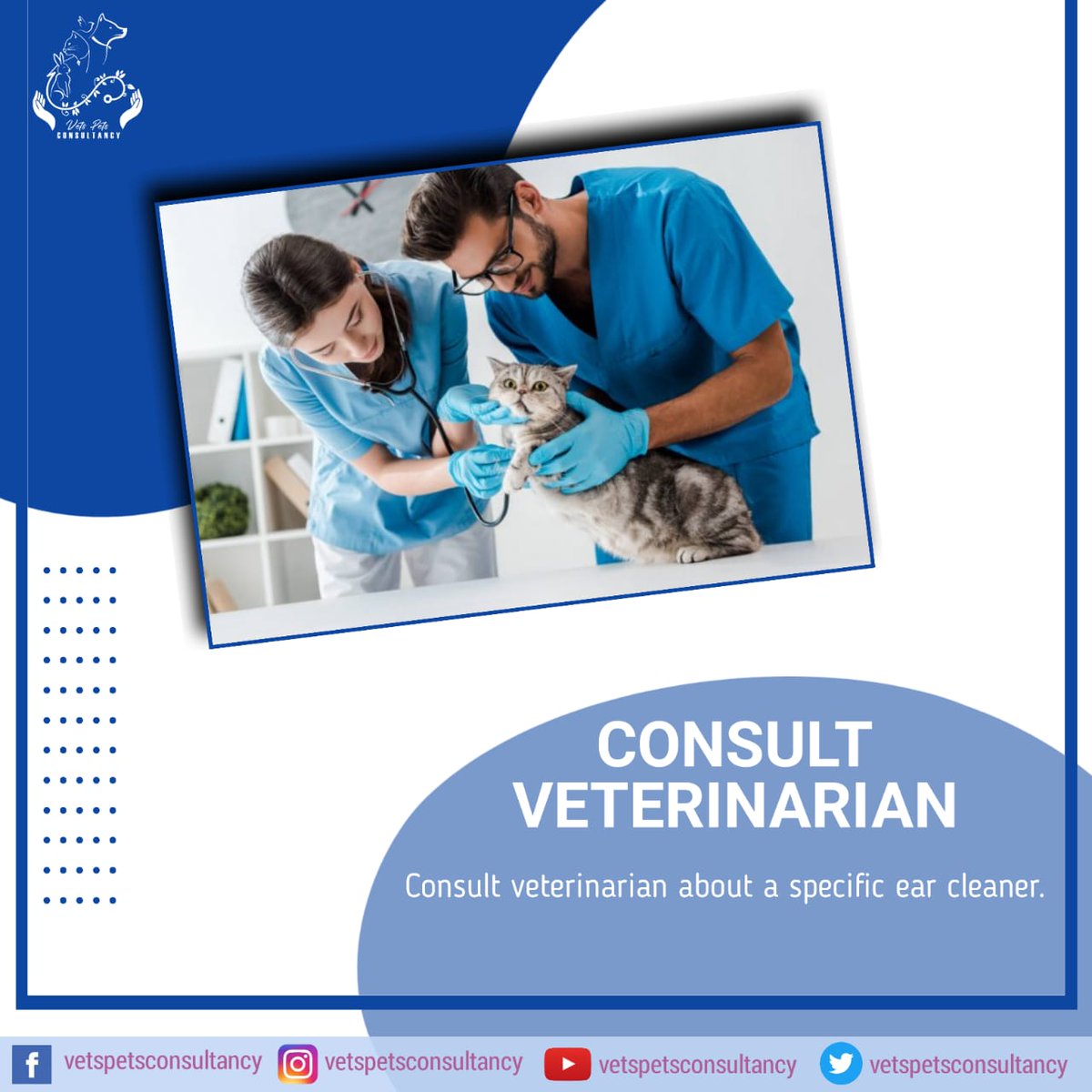Petsconsultancy's tweet photo. Consult veterinarian about a specific ear cleaner with good quality as the ear cleaner with hydrogen peroxide or alcohols can cause irritation in ear canal specially in ulcerated canals.
#vetspetsconsultancy #onehealthconcept #veterinaryprofession #catsfeed #animalsskin https://t.co/WQHAVAZzBo