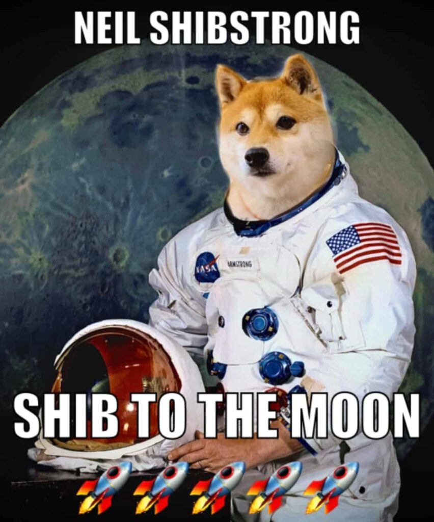 🚀🚀🚀🚀🌙🌙🌙