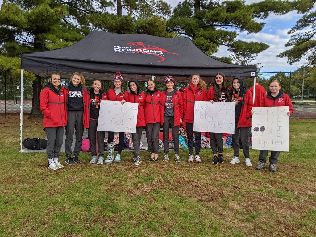 PCHSDragons's tweet photo. Congrats to our Girls Cross Country team as they took 5th at the Regional and qualified for the #IHSA Sectional next week in Quincy!!! #DragonPride #RunDragonsRun https://t.co/TKi69f8Wcl