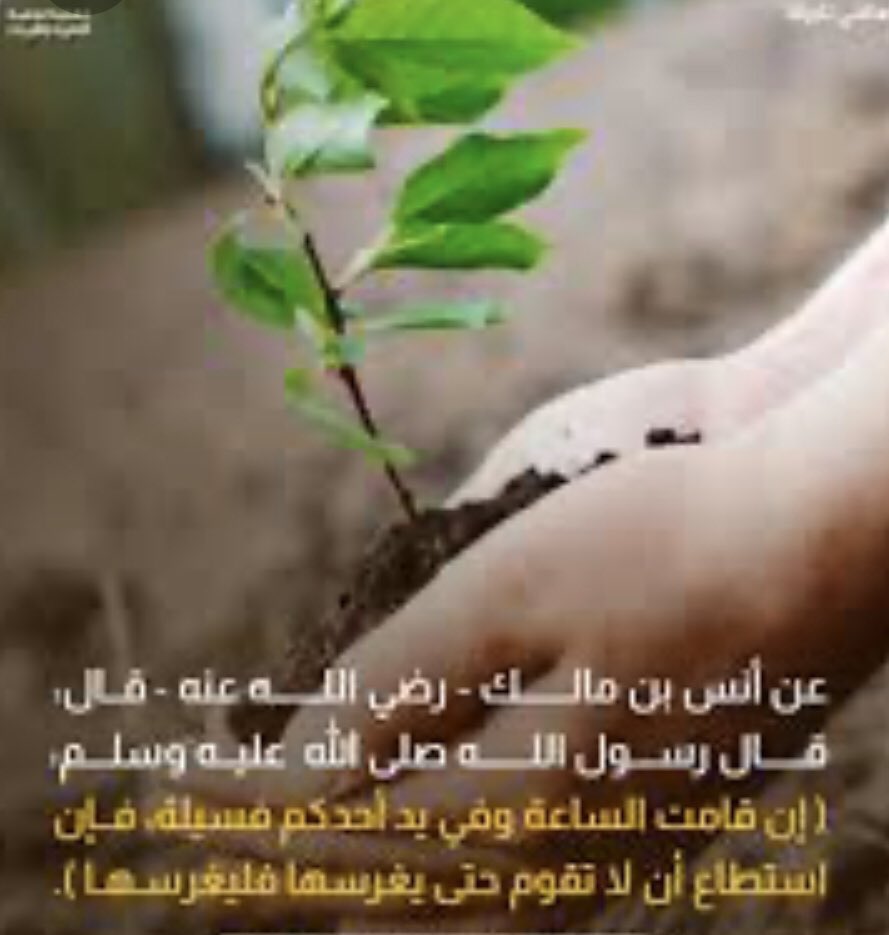 hader4040's tweet photo. #مبادرة_السعودية_الخضراء والله شي يثلج الصدر ان يتعاون الجميع علي الحفاظ علي الغطاء النباتي ،،،رغم مانشاهده من قطع الأشجار والاحتطاب بدون مراقبه ،،،وخاصه مع بداية فصل الشتاء ،،أين المسؤولين عن البيئة ،،،،وخاصه في ضواحي المدينه ،،ضير،وادي اللحن ،الفرشة ،سباء ،مويسل والوجاء وغيرها https://t.co/h6n0bd9LTS