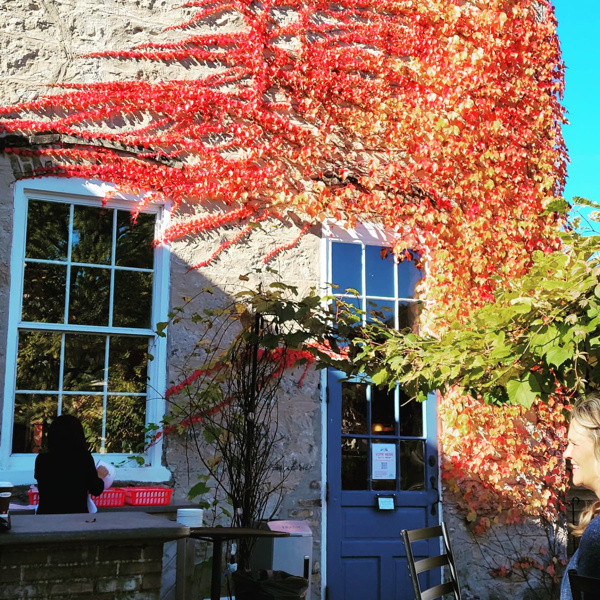 WiscoMary's tweet photo. A beautiful day in #Cedarburg for the #scarybloodymarywalk #halloween #bloodymarytime #halloweencostume #wisconsinweekend #bloodies #pubcrawl #beerchaser #travelwisconsin #wisconsinfoodies #bloodymarysaturday  #saturdayvibes #fallcolors #bloodymary https://t.co/7uH2jIsVOX