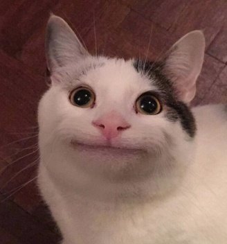 🐱🙂 #연준 #YEONJUN <a href="/TXT_members/">TOMORROW X TOGETHER</a>