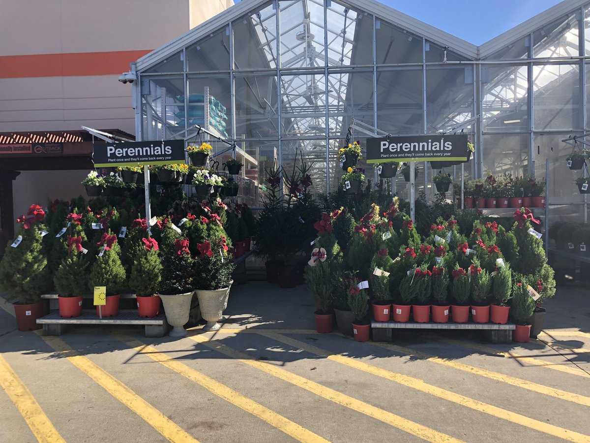 Linda Burkins tweet media