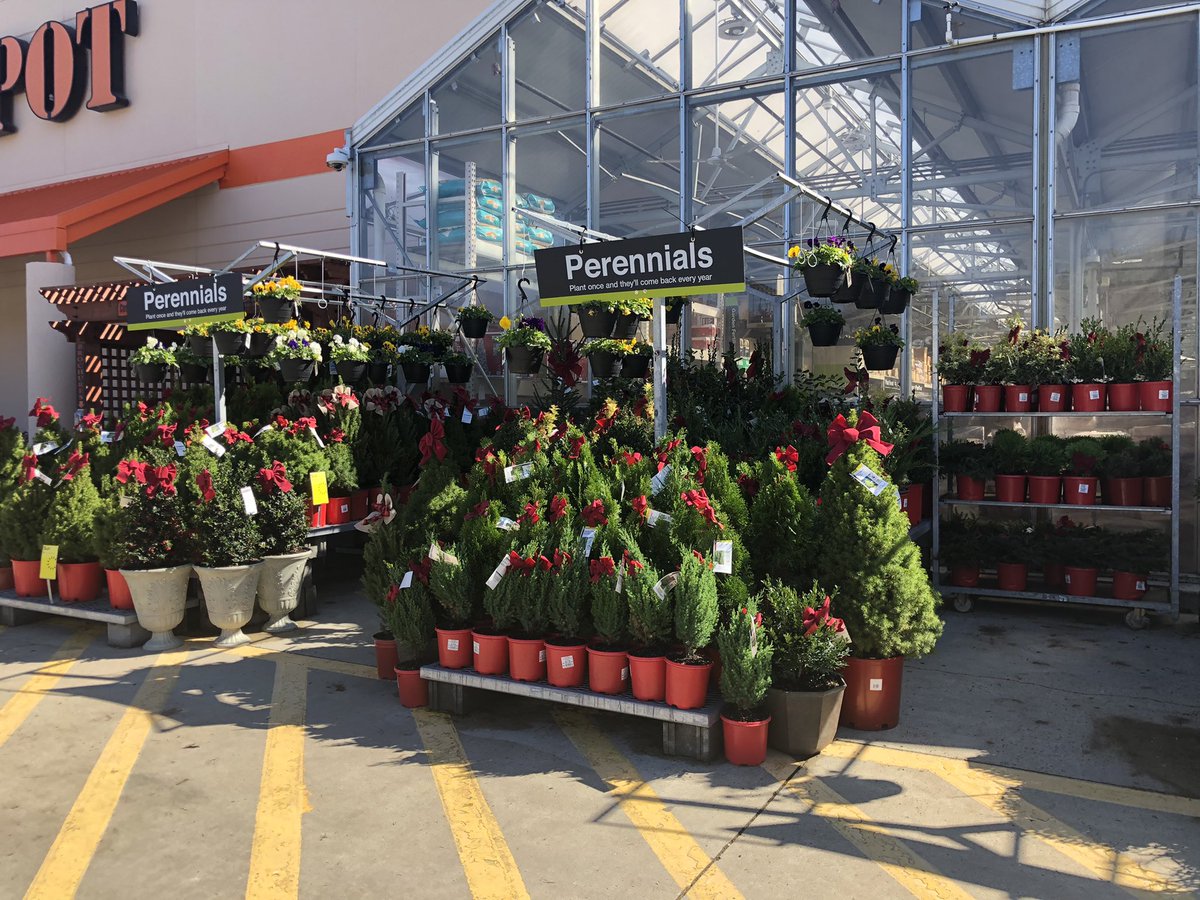 Linda Burkins (@ppslinda) on Twitter photo HD 3625 Asheville #holiday #festive <a href="/PPScatwilson/">Catherine</a> @PPSinHD <a href="/pps_s_atlantic/">AC</a> <a href="/Stephen_E_Camp/">Stephen Camp</a> <a href="/spoonholtz/">Teresa Spoonholtz</a> <a href="/rmathis333_rick/">Rick Mathis</a> HD 3625 Asheville #holiday #festive <a href="/PPScatwilson/">Catherine</a> @PPSinHD <a href="/pps_s_atlantic/">AC</a> <a href="/Stephen_E_Camp/">Stephen Camp</a> <a href="/spoonholtz/">Teresa Spoonholtz</a> <a href="/rmathis333_rick/">Rick Mathis</a>