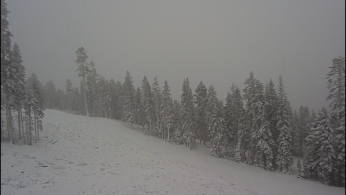 mtashland's tweet image. We were able to get all of our webcams back up just in time to watch all of the snow flying! mtashland.com/webcams/ #Winteriscoming