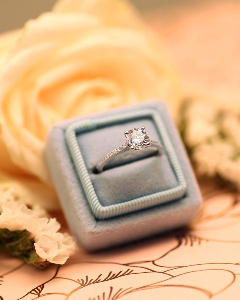 CoastDiamond's tweet image. A darling of an engagement ring, fine pave set diamonds are embedded between delicate milgrain edging. #showyourcoast

Style No. LC5191H
-
-
-
-
-
-
#gracefulring #diamondsetting #lovestory #gettingmarried