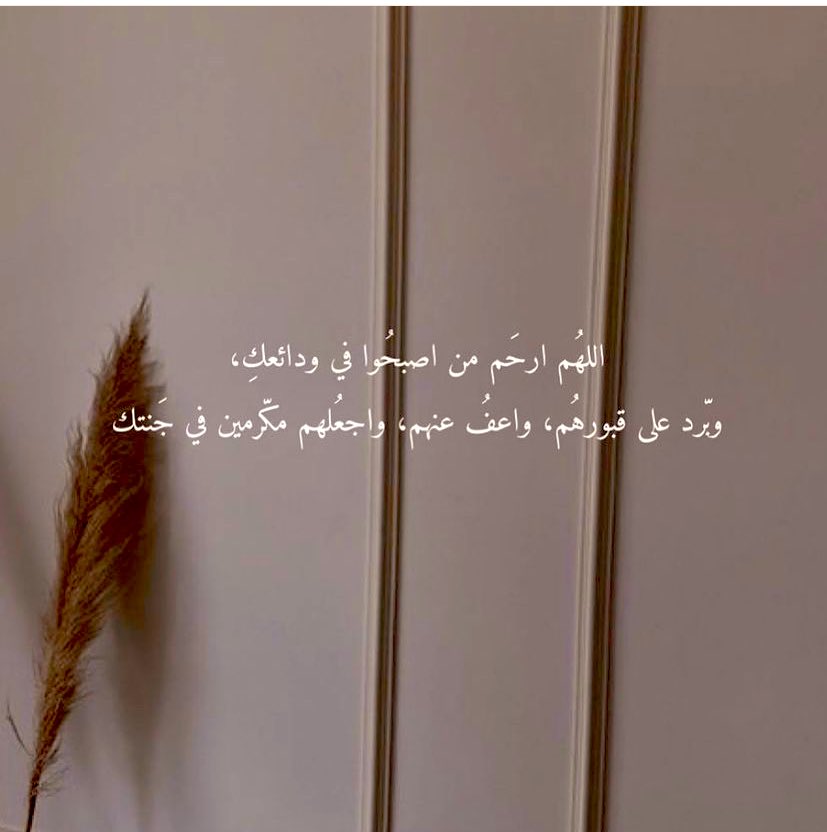 orjuwan (@orgwan942870221) on Twitter photo 