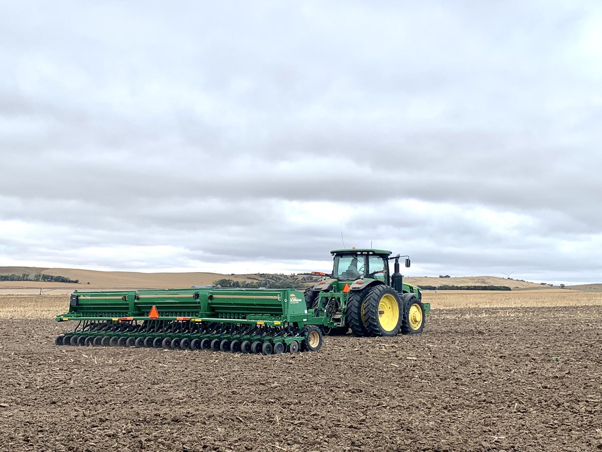 Our farming team has transitioned to planting cover crops in our fields. 

Here at Adams, we’ll plant 4,000 acres of cover crops this fall, which help protect the soil from erosion, promote carbon sequestration, and provide wind protection for young corn seedlings in the spring.