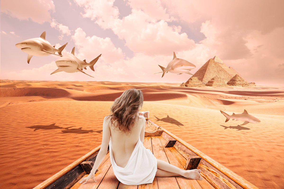 Once upon a time in Pyramids
opensea.io/assets/0x495f9…

#nft #NFTs #nftcollector #NFTartist #nftcollectors  #cryptoart #aiart #Animation #pixelart #aiart #MachineLearning #generativeart #opensea #OpenSeaNFT