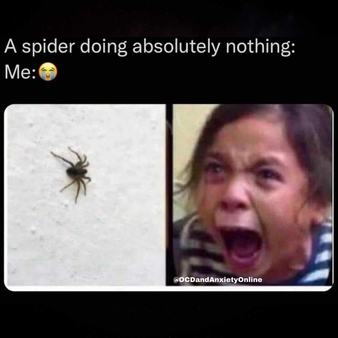 ocdandanxiety1's tweet photo. Does this relate to your anxiety?🤔
Anxiety looks and feels all tough, but it can't hurt you. We can actually teach our anxiety that we simply DON'T CARE.
#spider #spiders #fearofspiders #erp #ocd #anxiety #anxietytreatment #spiderman #spiderverse https://t.co/4KlayQiWME