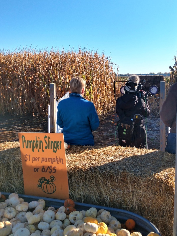 Big thank you to <a href="/LValsvik/">Lee Valsvik</a> and <a href="/kare11/">KARE 11</a> for coming out this morning to experience Twin Cities Harvest Festival and Maze! Lee did a great job taking on the corn pit, dunk tank and pumpkin slinger.🌽🎃 Visit this festival for optimal fall fun! #cornmaze minneapolisnorthwest.com/events/annual-…