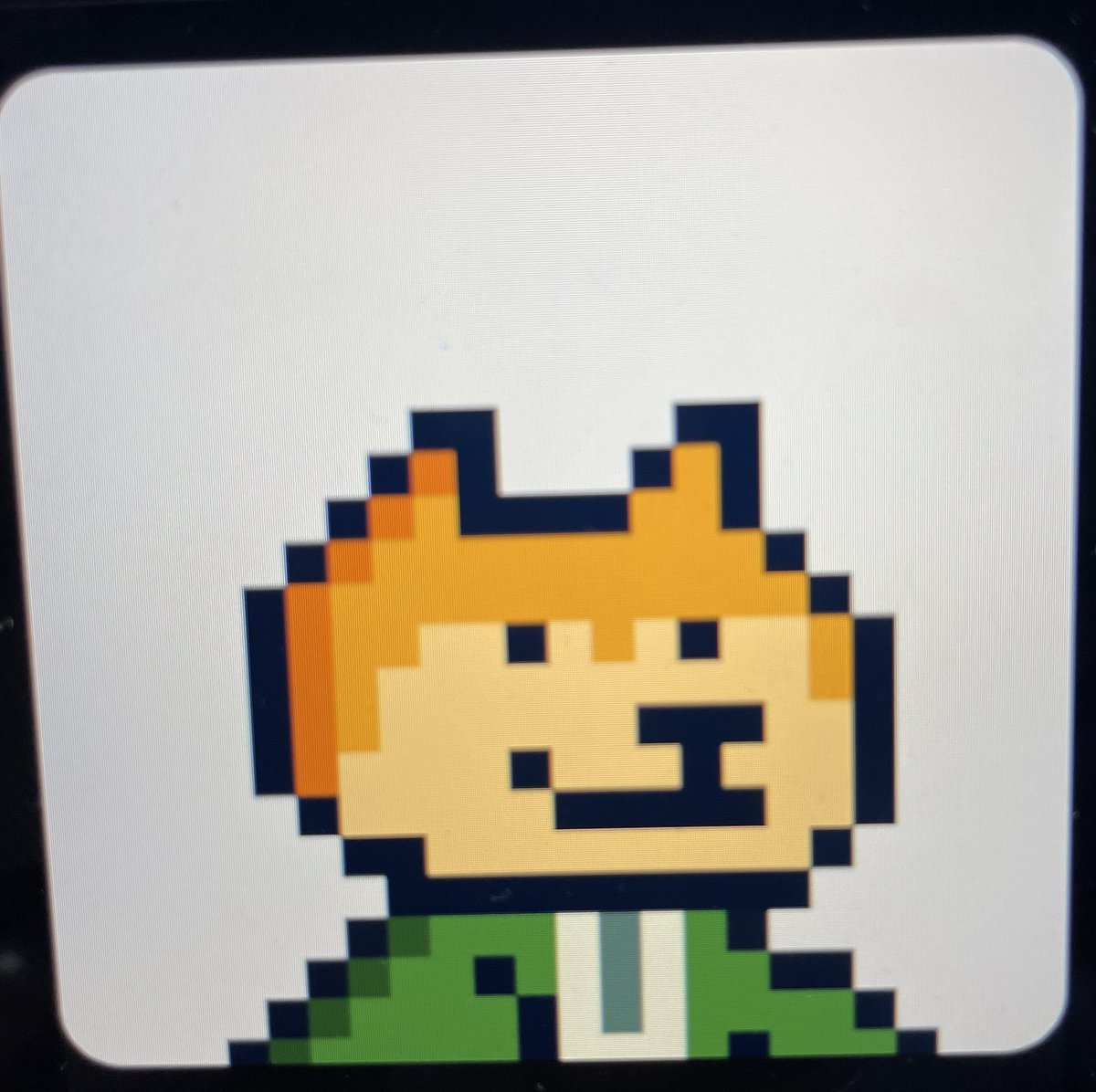 NFTfarmerjohn's tweet photo. I couldn’t resist, had to grab @thedogecapital today 🚀 #woof https://t.co/g1inPxuz1x