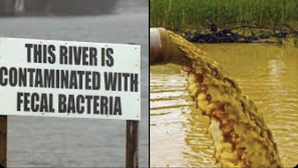 My MP <a href="/theodoraclarke/">Theo Clarke</a> voted for this. Shame on her.