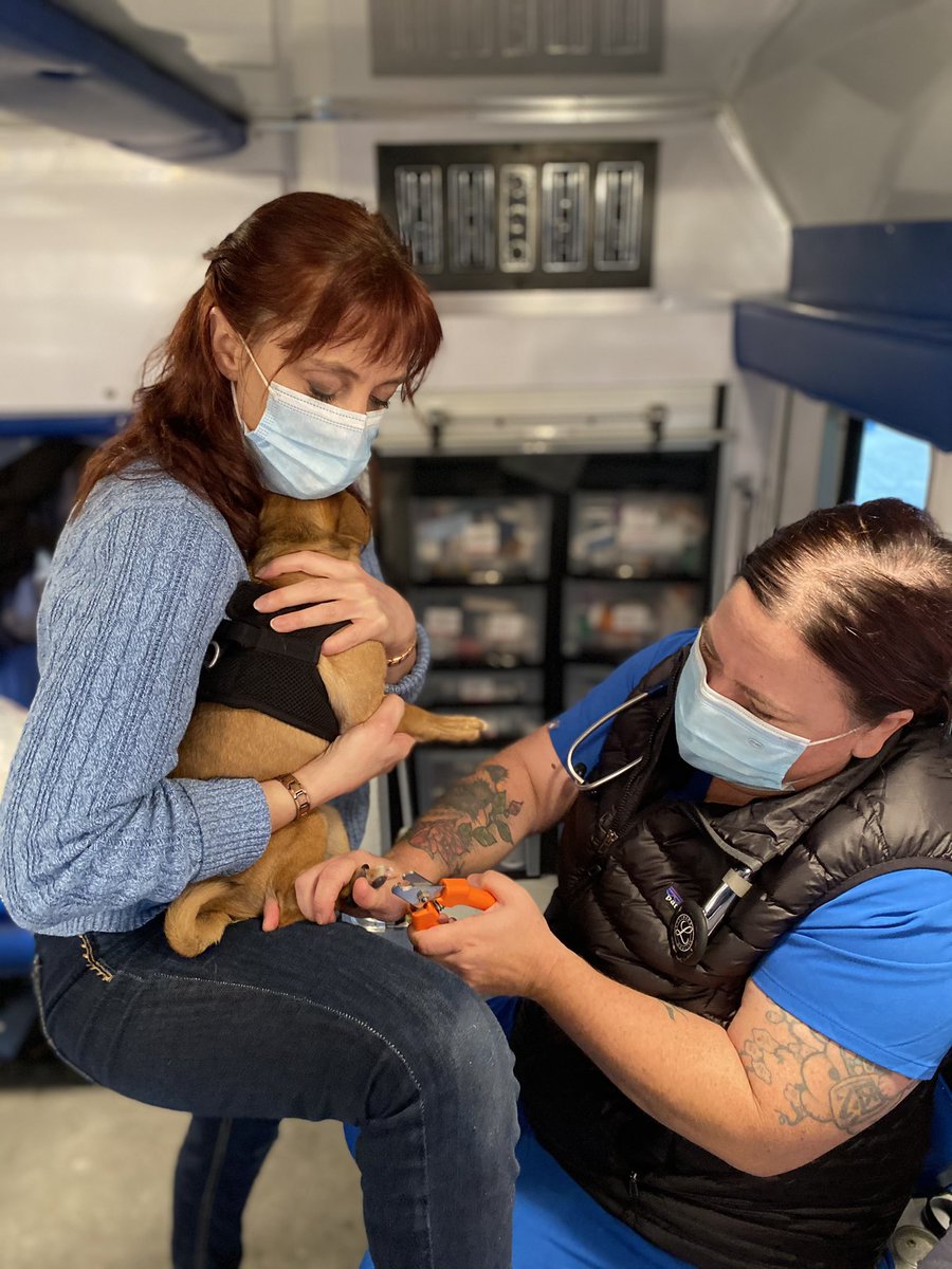 Celebrating Vet Tech appreciation week! Big thanks to all of our incredible techs and assistants for making our work possible.