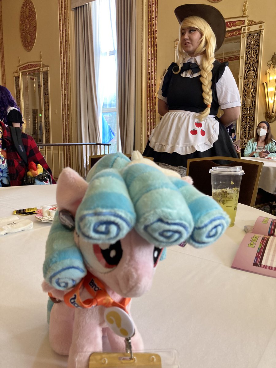 #Cozyglow plush went to the #kawaii #Friendshipcafe at #PVCF21 host by #steptoharmony.