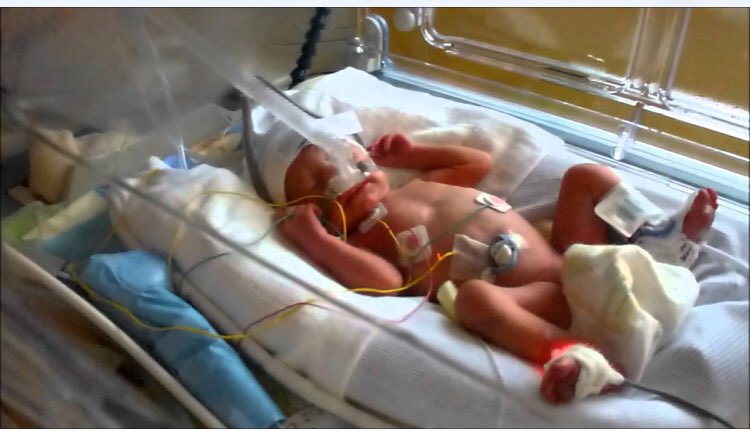 Ibrahim Amirat©🦋 tweet media