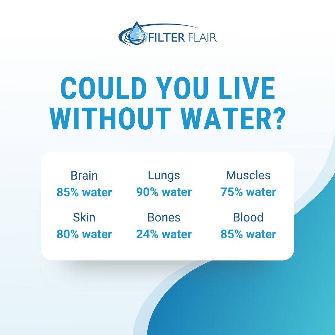 FilterFlair (filter_flair) Twitter