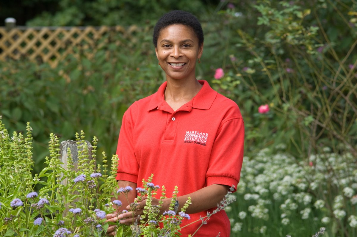 In the latest #GardenDC podcast episode, we talk with Wanda MacLachlan of <a href="/UMdExtension/">UME</a>, about the Bay-Wise Landscape Program. 
Bonus: the plant profile is on White Wood Aster.
Listen at -
washingtongardener.blogspot.com/2021/10/garden…
or wherever you get your #gardeningpodcasts.