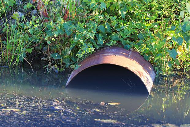 ruth_watch's tweet image. Just when you think @RuthEdwardsMP couldn’t sink any lower. You learn that she voted in favour of dumping raw sewage 💩 into our rivers and seas 💧. This couldn’t have happened prior to brexit! #Rushcliffe #WorstMP