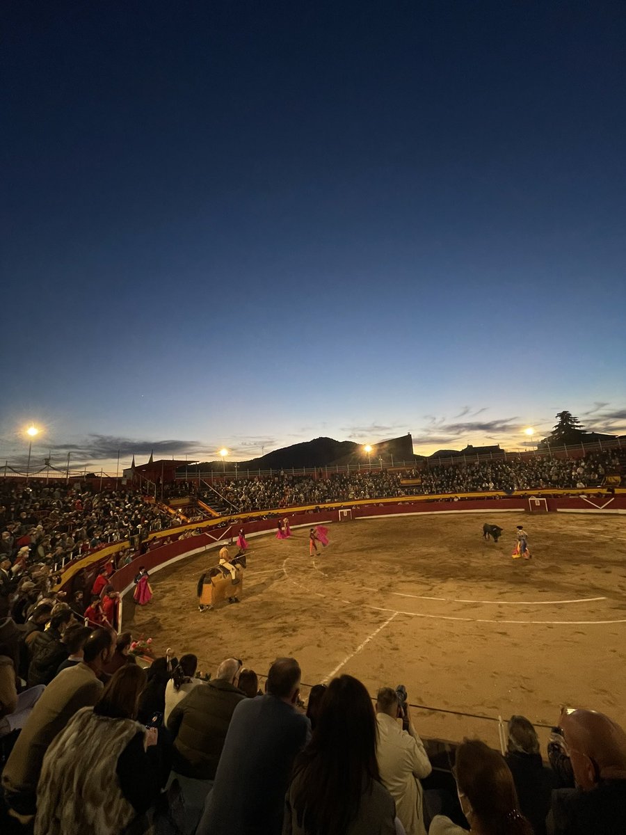 Blog Casta y Bravura tweet media