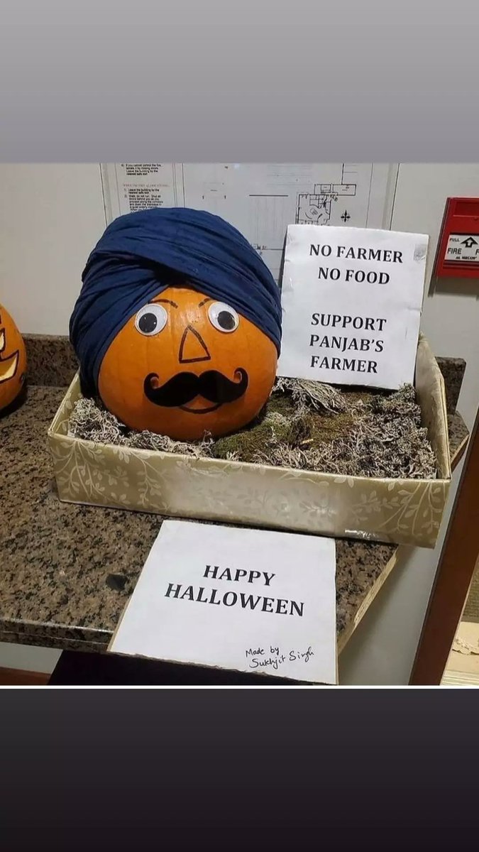 About Blank tweet media